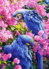 Blue Parrots on Pink Branches